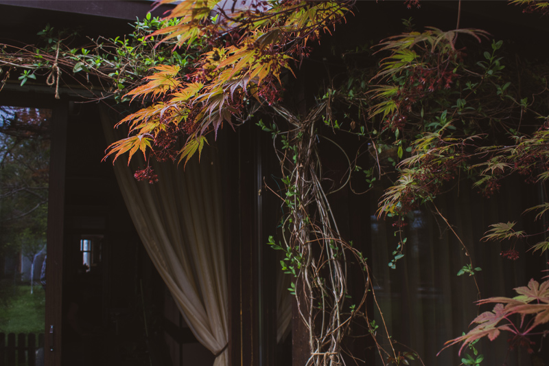 pensiune restaurant cambera