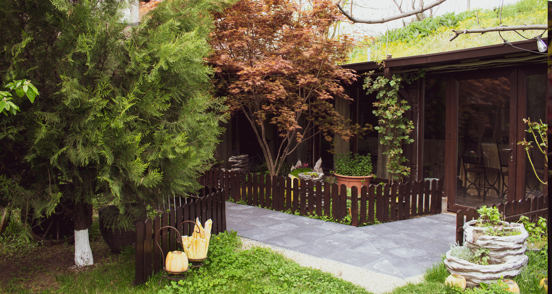 pensiune restaurant cambera