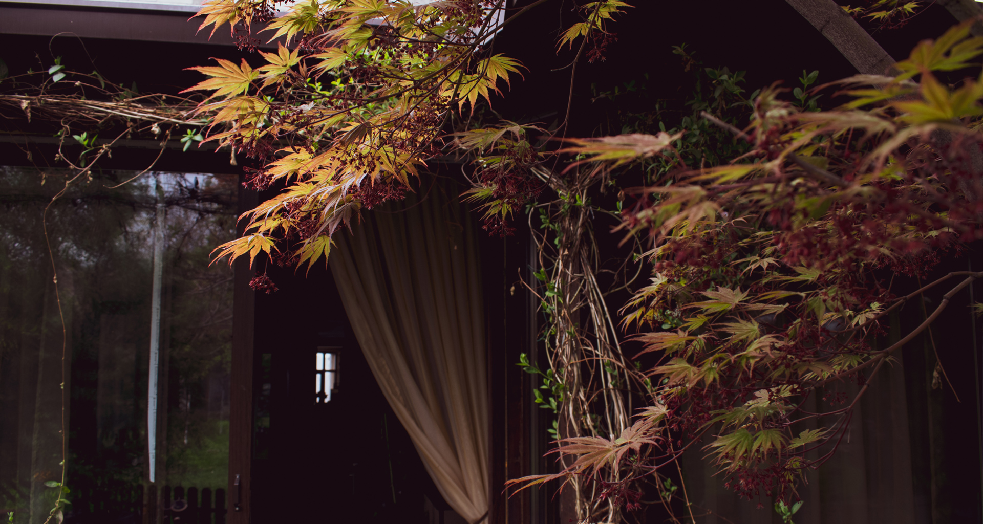 pensiune restaurant cambera