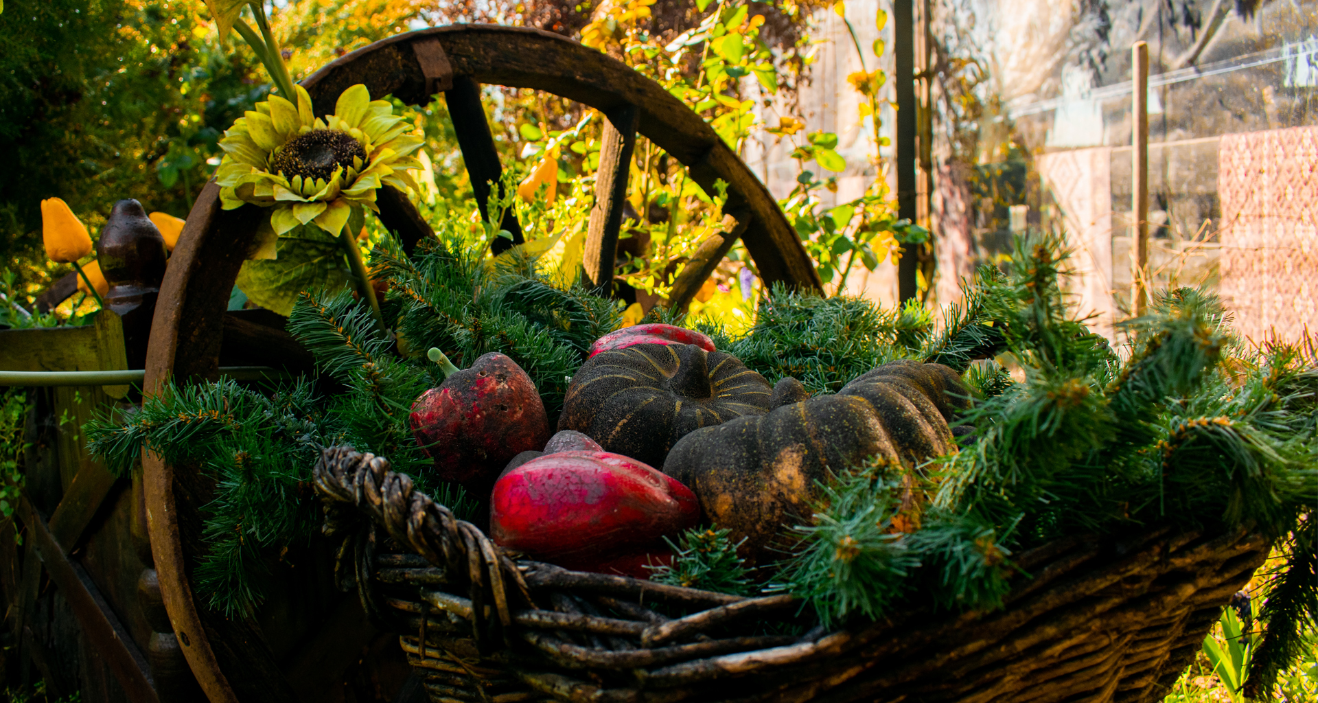 pensiune restaurant cambera